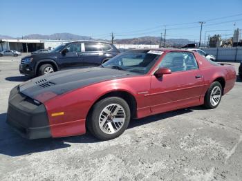  Salvage Pontiac Firebird