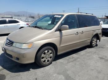  Salvage Honda Odyssey