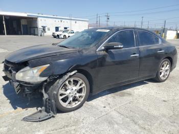  Salvage Nissan Maxima