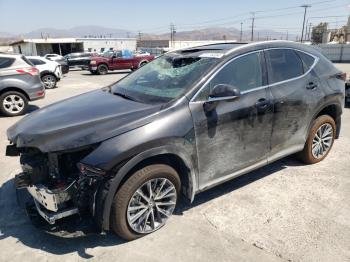  Salvage Lexus NX