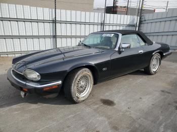  Salvage Jaguar Xjs