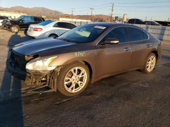  Salvage Nissan Maxima