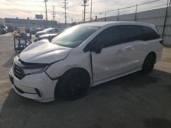  Salvage Honda Odyssey