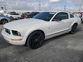  Salvage Ford Mustang