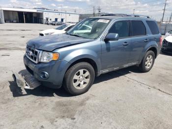  Salvage Ford Escape