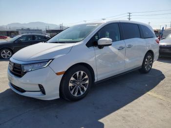  Salvage Honda Odyssey