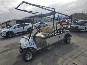 Salvage Evolution Golf Cart