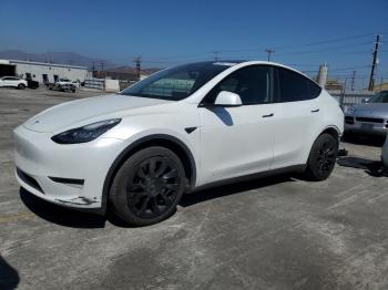  Salvage Tesla Model Y