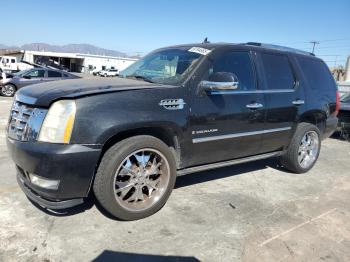  Salvage Cadillac Escalade