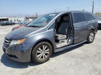  Salvage Honda Odyssey