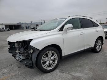  Salvage Lexus RX