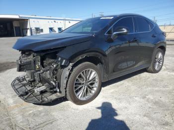  Salvage Lexus NX