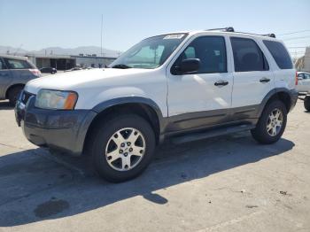  Salvage Ford Escape