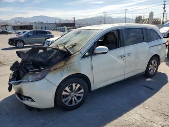  Salvage Honda Odyssey