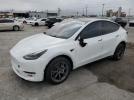 Tesla Model Y Image 1