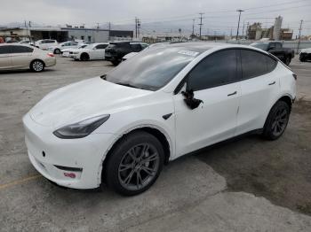  Salvage Tesla Model Y