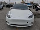 Tesla Model Y Image 2