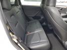 Tesla Model Y Image 12