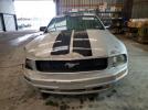 Ford Mustang Image 12