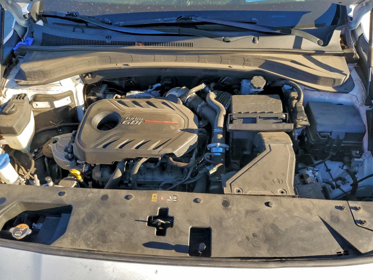 Hyundai SANTA FE Limited Image 10