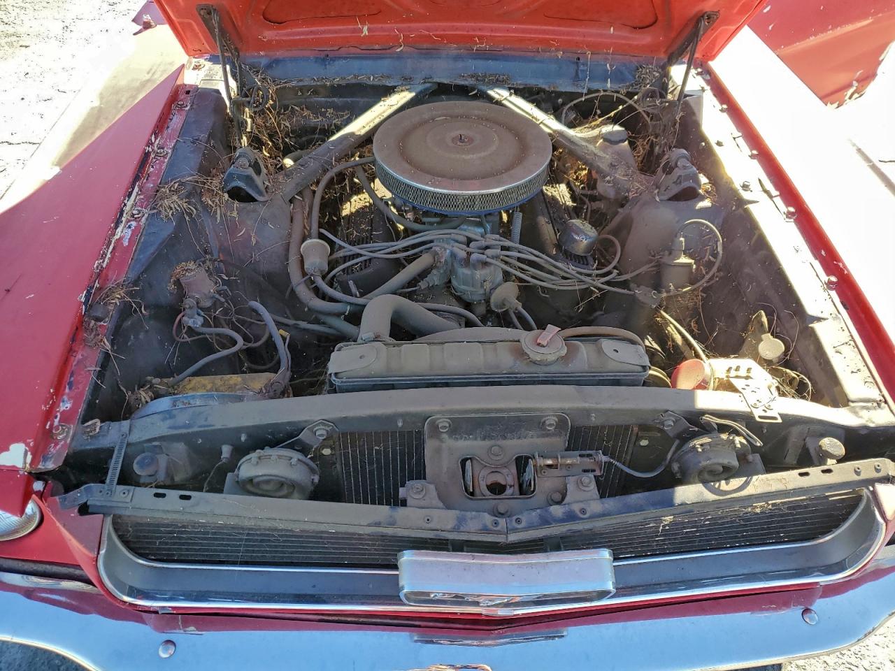 Ford Mustang Image 4