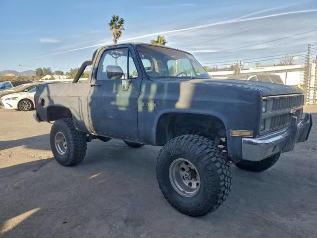 Chevrolet Ck Series Image 3