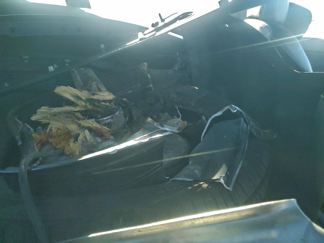 Tesla Model Y Image 5