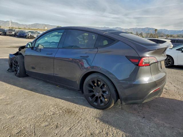 Tesla Model Y Image 2