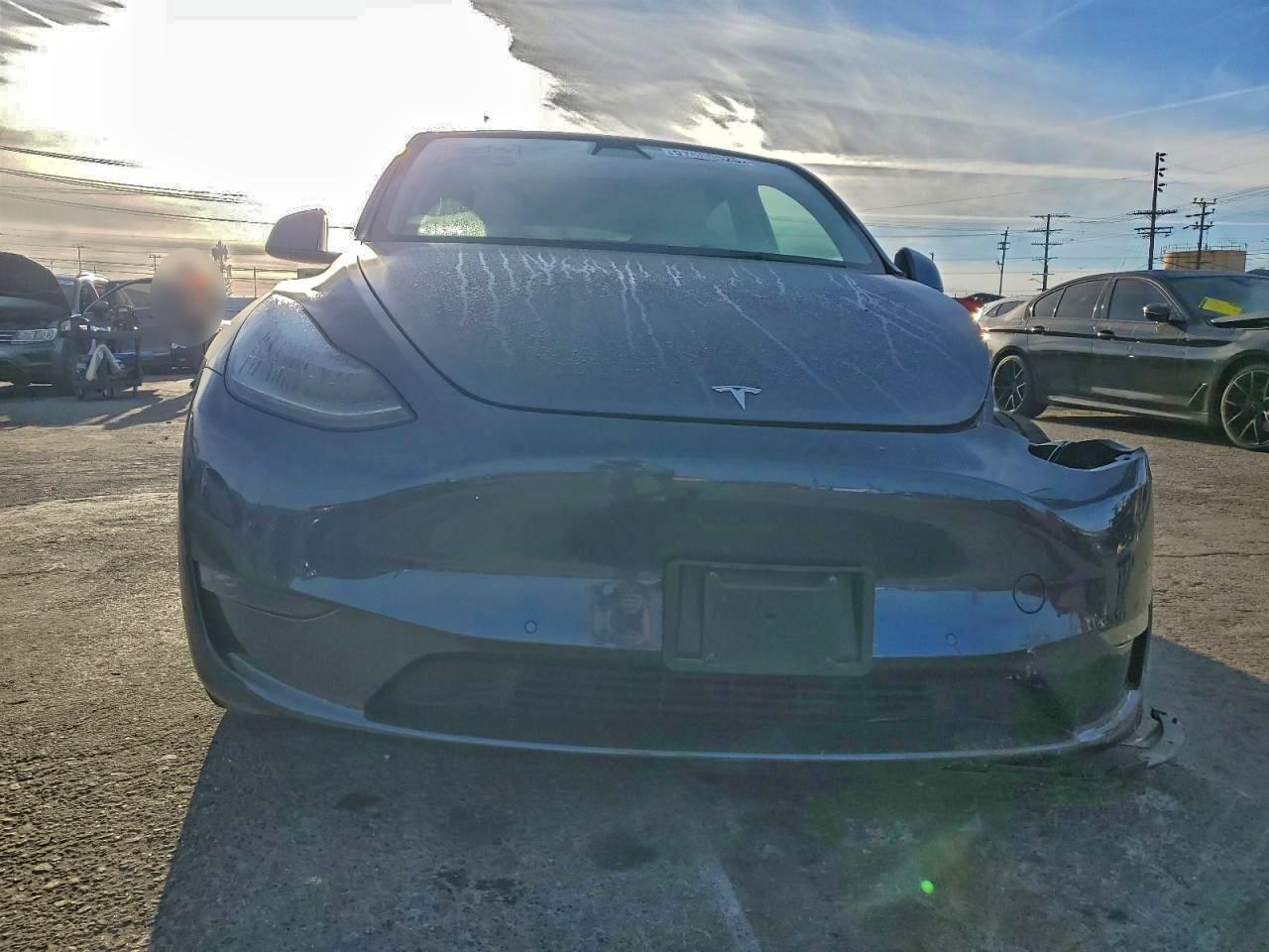 Tesla Model Y Image 12