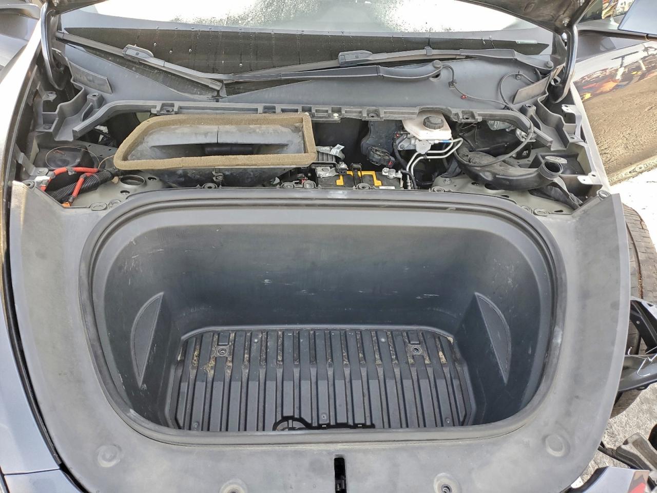 Tesla Model Y Image 11