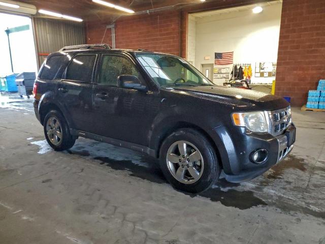 Ford Escape Limited Image 3