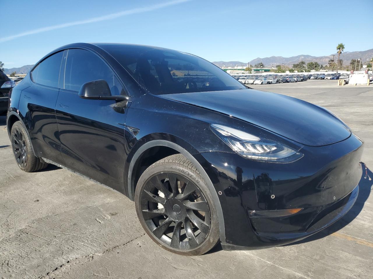 Tesla Model Y Image 3