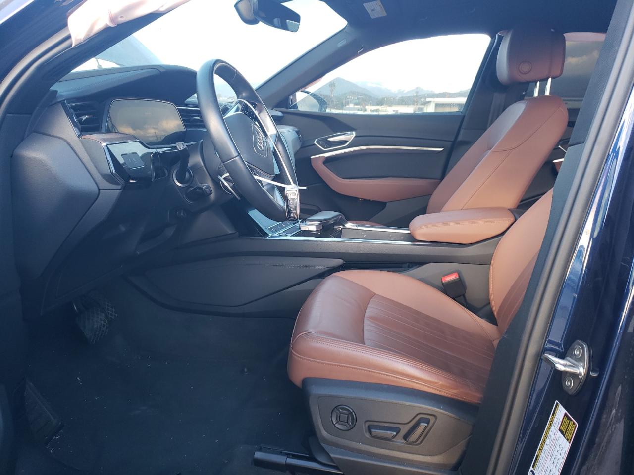 Audi e-tron Premium Image 9