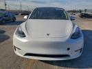 Tesla Model Y Image 10