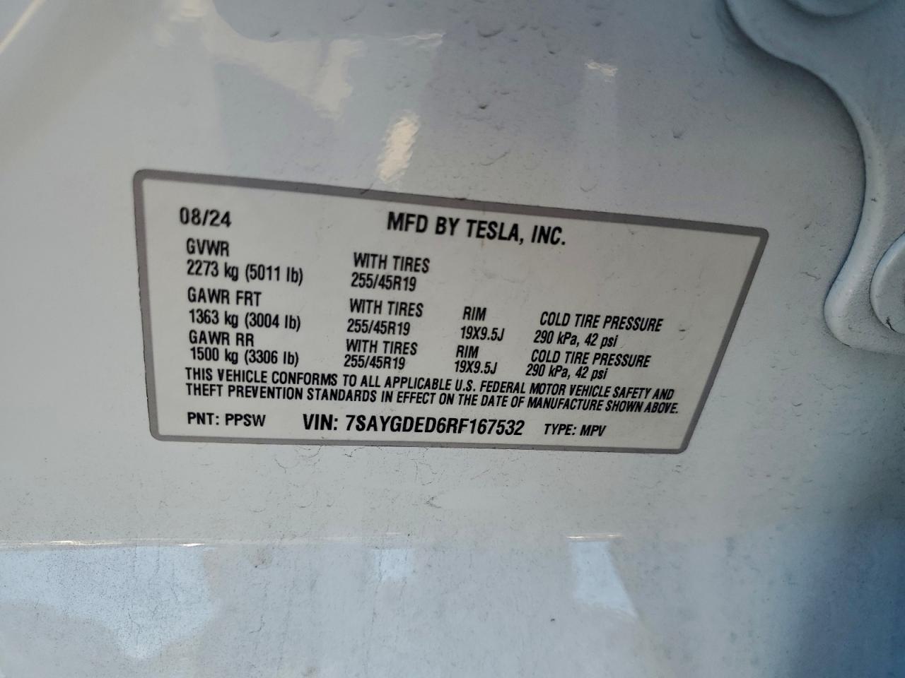 Tesla Model Y Image 4