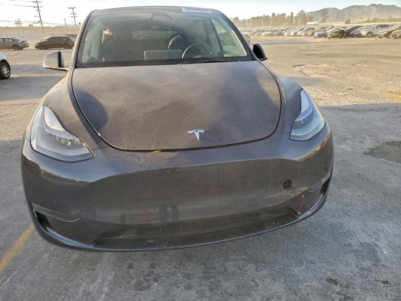 Tesla Model Y Image 7