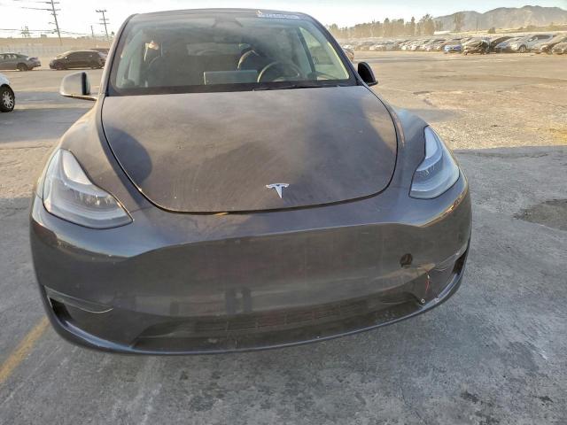 Tesla Model Y Image 7
