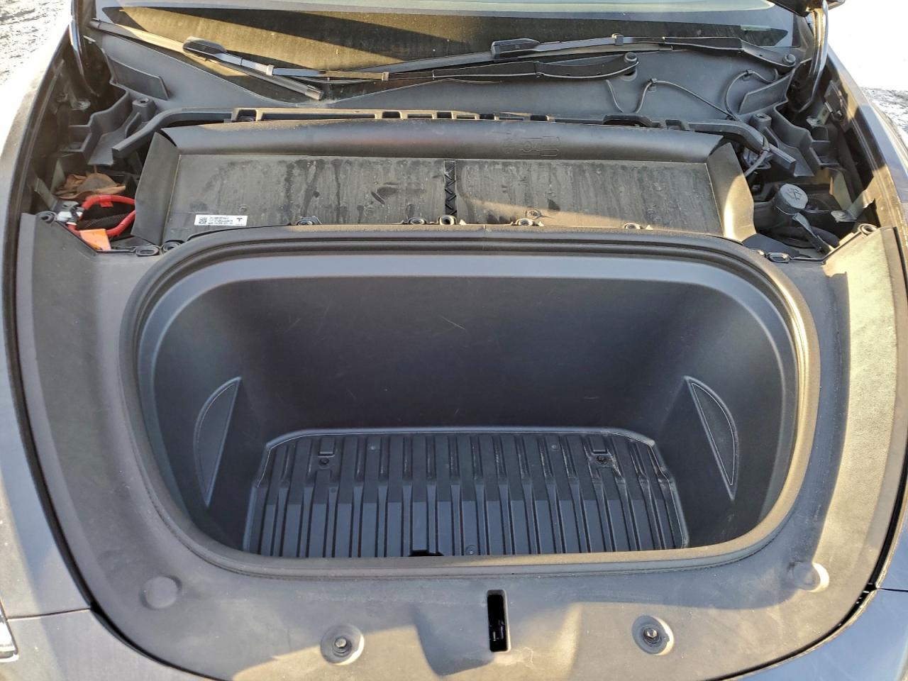 Tesla Model Y Image 8