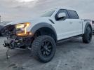 Ford F-150 Raptor Image 1