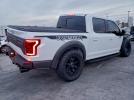 Ford F-150 Raptor Image 4