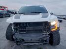 Ford F-150 Raptor Image 6