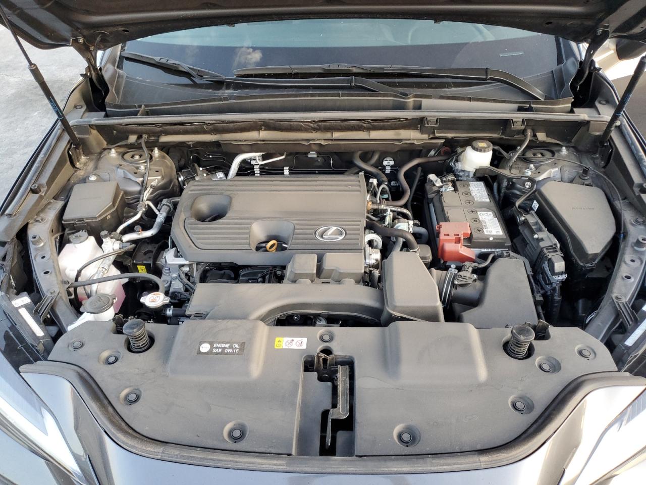 Lexus NX 250 Base Image 12