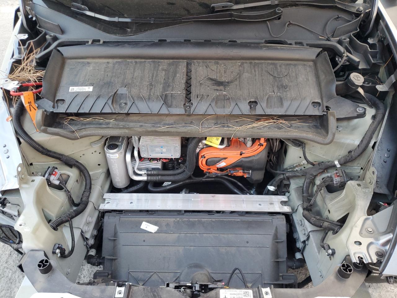 Tesla Model Y Image 11