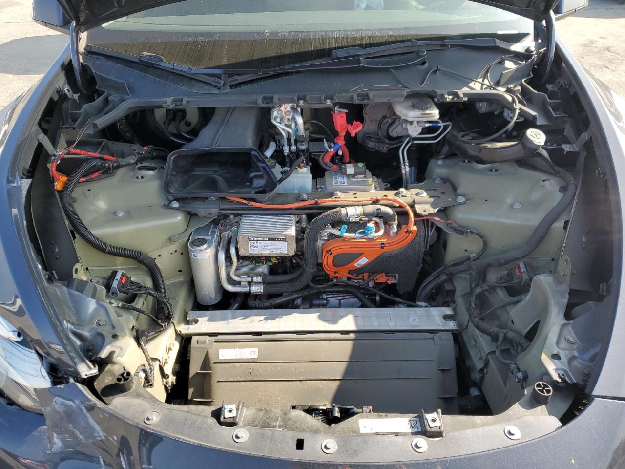 Tesla Model Y Image 11