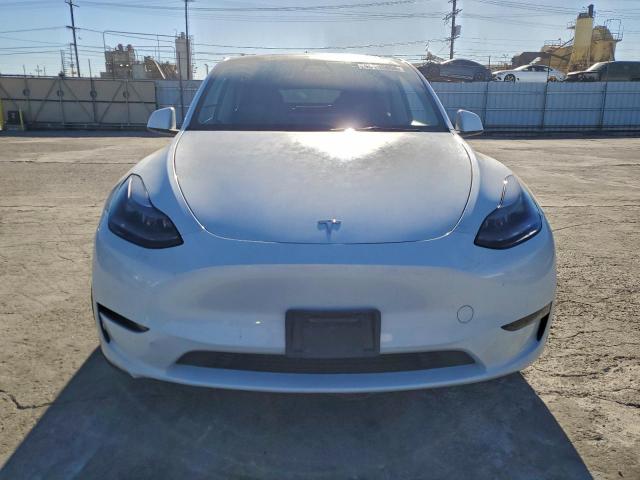 Tesla Model Y Image 7