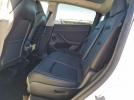 Tesla Model Y Image 12