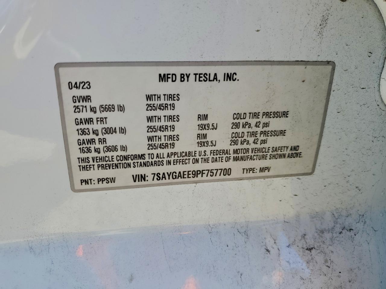 Tesla Model Y Image 10