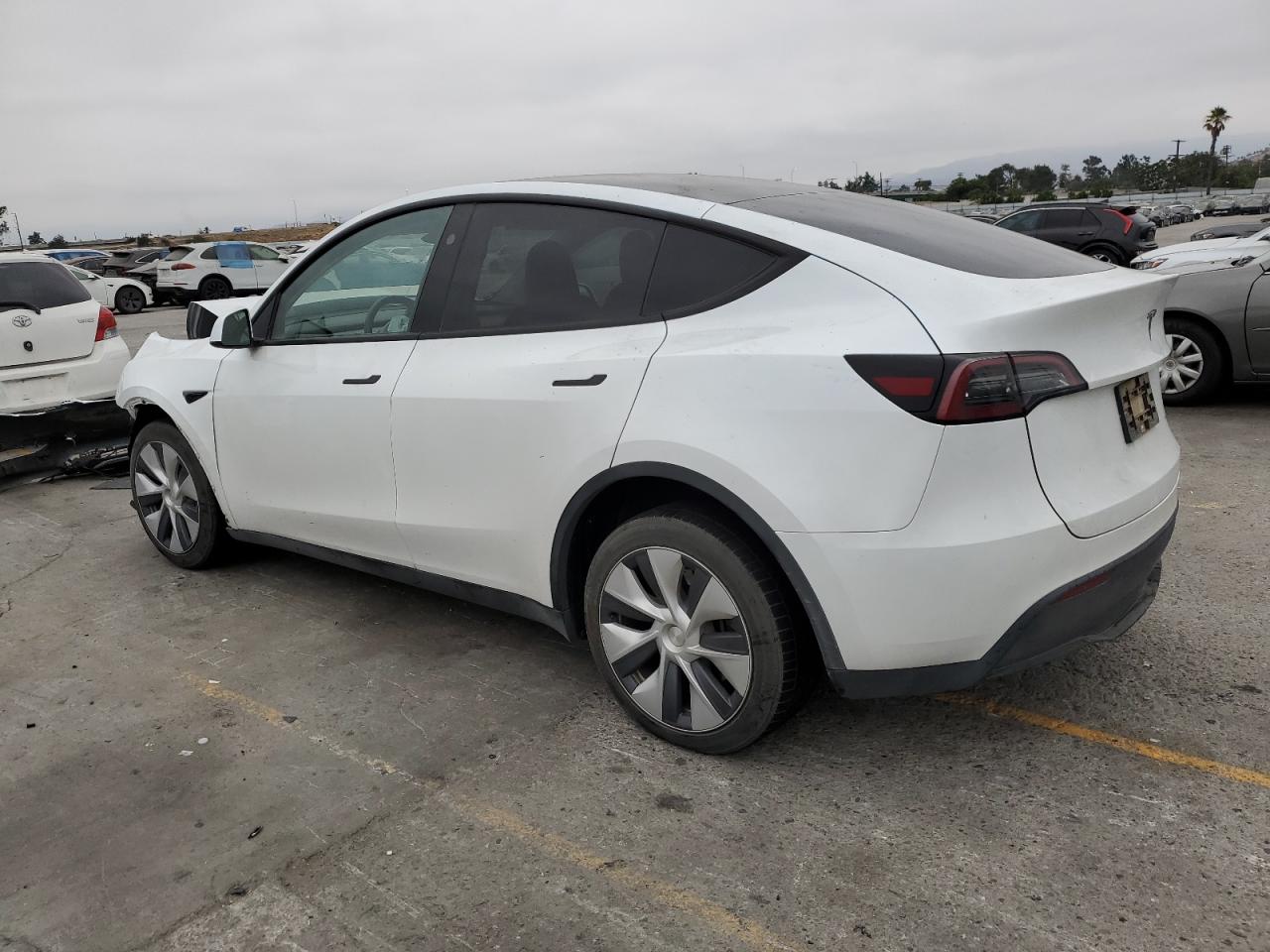 Tesla Model Y Image 13
