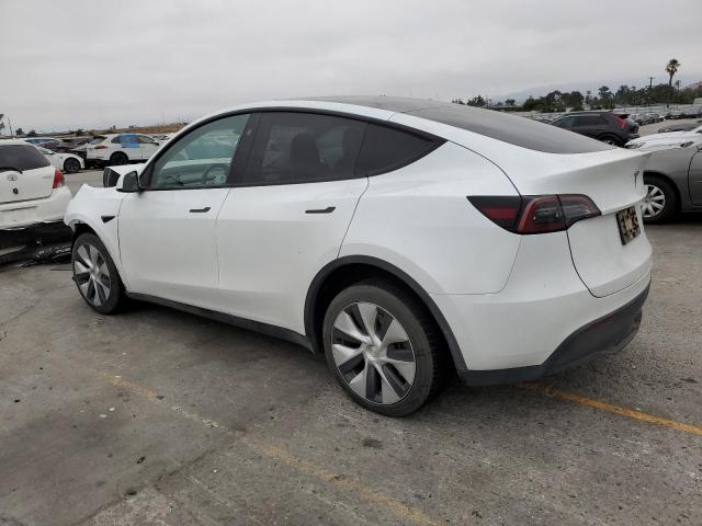 Tesla Model Y Image 13