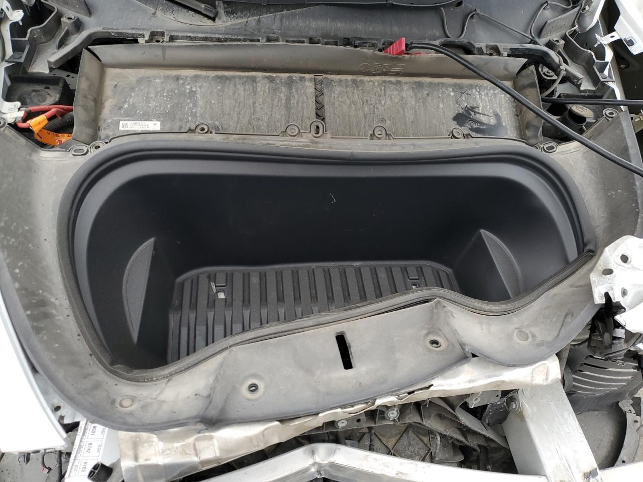 Tesla Model Y Image 8